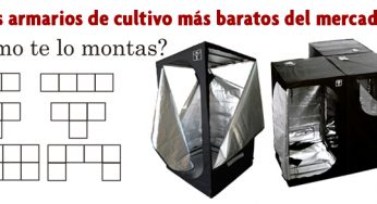 Cultibox, los armarios de cultivo más baratos del mercado