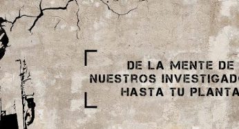 Descubre ya los abonos de la Línea Mineral de María Green