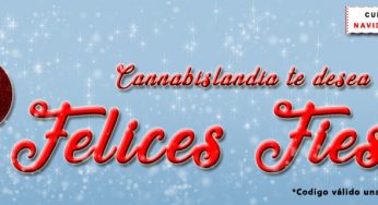 ¡Llegó la Navidad a Cannabislandia con grandes descuentos!
