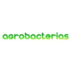 Agrobacterias