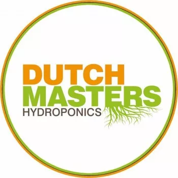 Dutch Masters